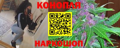 прущие крисы Кимры