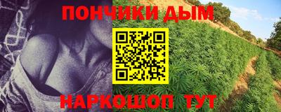прущие крисы Кимры