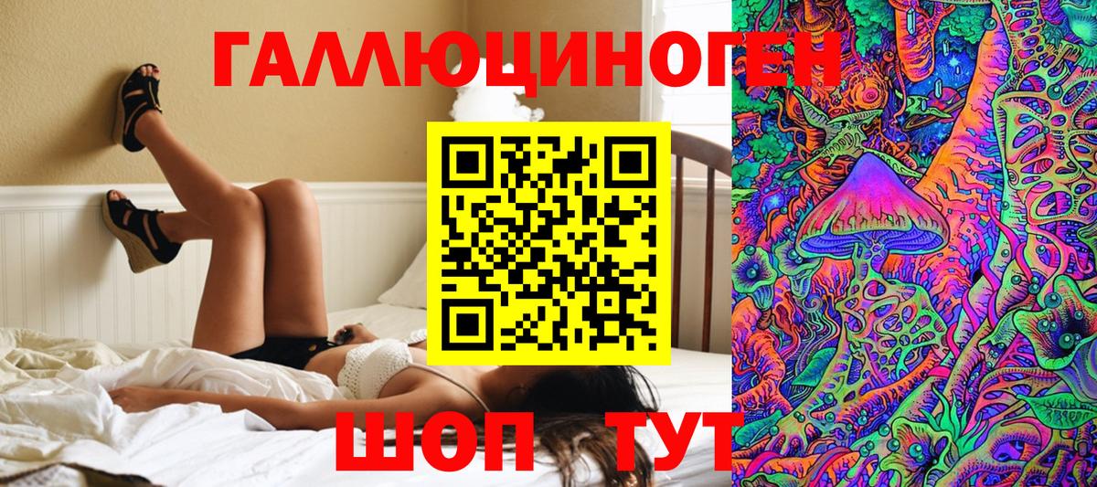 Псилоцибиновые грибы GOLDEN TEACHER  Вход с VPN  купить  сайты  Крымск 