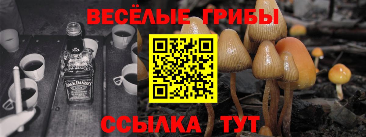 Псилоцибиновые грибы прущие грибы Крымск
